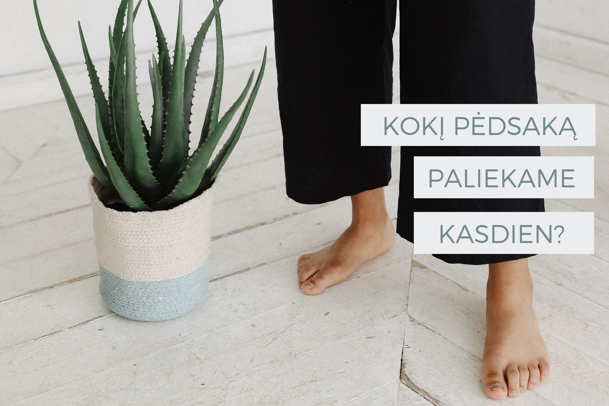 KOKĮ PĖDSAKĄ PALIEKAME KASDIEN?