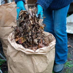 Kompostitavad kotid haljastusjäätmete jaoks ECOLIVING, 5 TK 3