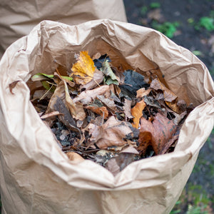 Kompostējamie maisi zaļajiem atkritumiem ECOLIVING, 5 gab 2